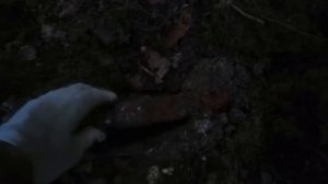 Только в Калининграде можно найти такое.Коп в "Железном лесу".