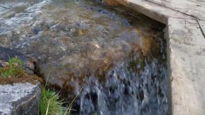 Чердынский район. село Покча.