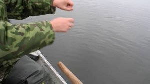 Рыбалка на Десенке