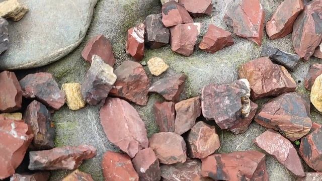 Трудно ли ухаживать за АЛЬПИЙСКОЙ ГОРКОЙ в саду.