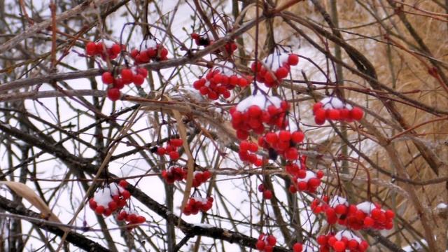снег кружится смотреть онлайн