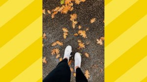 18.2. Клип. Песня о листьях. Исполняет Волуев Иван Васильевич