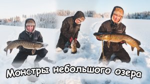 Монстры маленького озера. В дикий мороз за щукой. Ловля на жерлицы на мелководье.