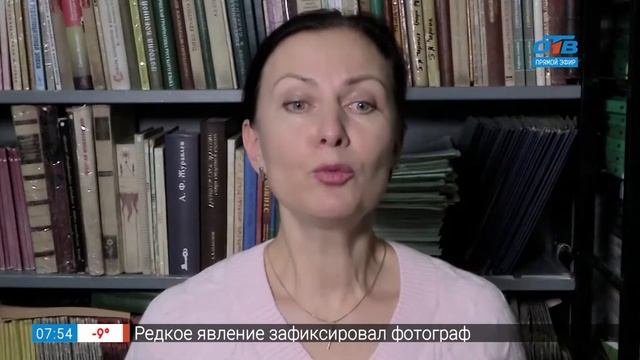 Простые правила – трEнеры или тренерА