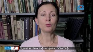 Простые правила – трEнеры или тренерА