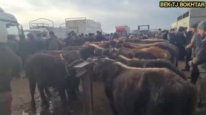 молбозори хочи шариф ш бохтат 2023???