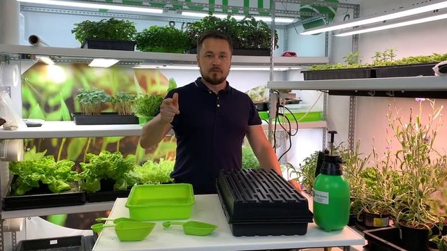 Микрозелень - Базилик. Детальный обзор по выращиванию смотреть онлайн