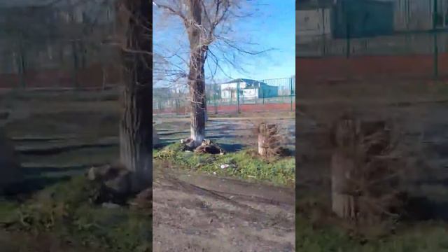 Х это зима в ладовской балке