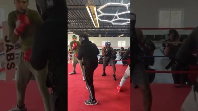 K9 Sparring Live #k9boxing #devinhaney #boxing #joshuangannou #k9 #fyp смотреть онлайн