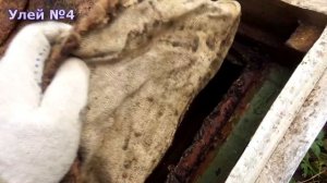 Утепление ульев на зиму. Вентиляция улья. Клуб пчёл осенью.