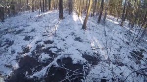 Охота #77 загонная на кабана