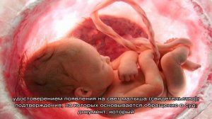 Все о тесте ДНК