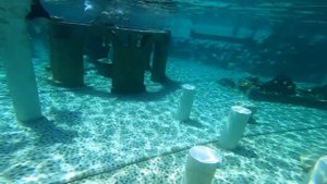 Обзор парка Сиаланья в Алании сентябрь 2020 Sealanya Dolphinpark Seapark