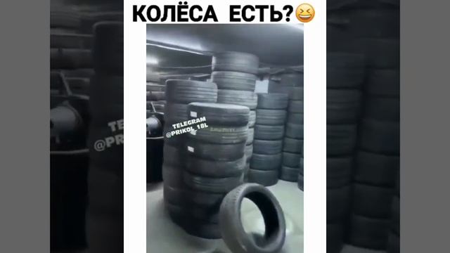 Задние колёса есть? Нет , задних нет.