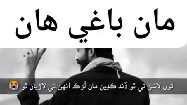 sindhi deshi | baghi | shaheed khan basheer qureshi | jeay sindh