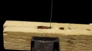 Мормышка "Клещ"(Хрень). Изготовление №3