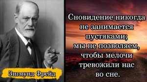 Зигмунд Фрейд. Сновидение никогда не занимается пустяками; мы не позволяем, чтобы мелочи тревожили н