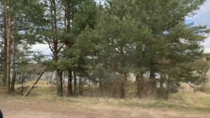 ОКРЕСТНОСТИ. СТАРАЯ и НОВАЯ ЛАДОГА.