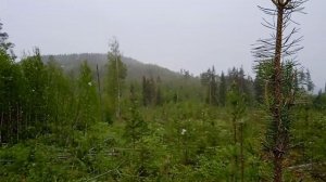 Швеция 58. Ночевал отлично. Пошёл снег. Вышел на работу