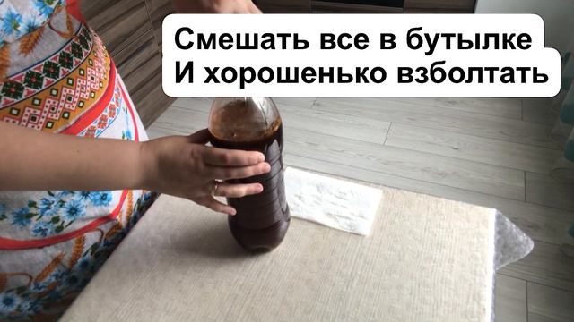 Квас с цикорием??? смотреть онлайн