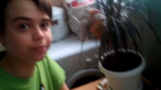 Шоколад BOUNTY  МАНГО (Новинка) - обзор смотреть онлайн