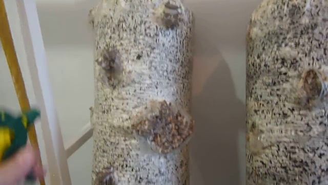 Вешанка К-17 ( 2 волна 35й день) смотреть онлайн