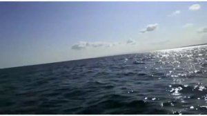 Охотское море, рыбалка на камбалу.