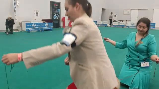 Национальная монопородная выставка НКП Немецкий шпиц 2022