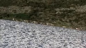 Красоты Кузнецкого Алатау