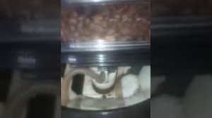 В работе новая Кофемашина KRUPS EA 82 Black Prince. С пластиковым поршнем!!!