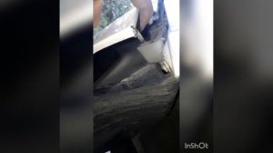 Снятия заднего бампера KIA CERATO KOUP 2012 г