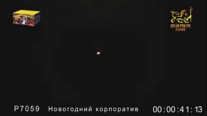 Р7059 Новогодний корпоратив 1,1 х 99 залпов