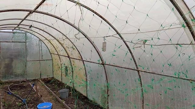 Обзор теплиц 20 октября 2020 года. смотреть онлайн