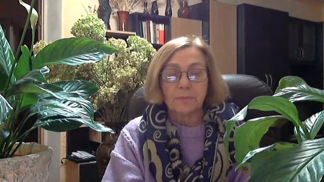 Удобрения для комнатных растений. Что мы применяем для любимых цветов?