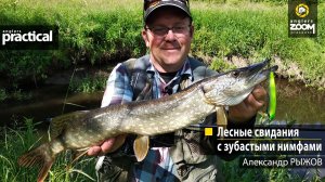 Лесные свидания с зубастыми нимфами. Александр Рыжов.