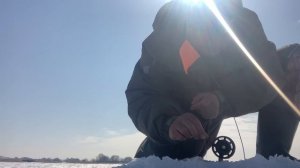 Рыбалка  последний лёд 2021. На пронском водохранилище