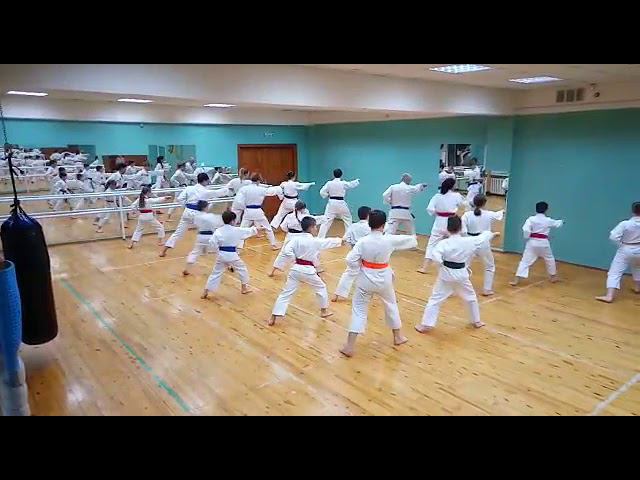 Kate, karate. Shodan Тренировка у Каменева И.П.,г. Иркутск,сётокан,карате-до,2020г.