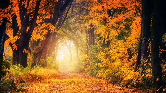 Из Гёте. Новая любовь -- Новая жизнь. смотреть онлайн