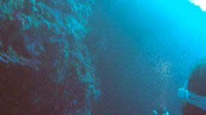 Подводный мир Maldives Rasdhoo Atoll diving | Мальдивы Расду Атолл дайвинг 4 часть