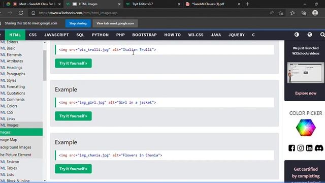Meet – SaeeAM Coding Class For Everyone   HTML, CSS, JS And Django With Project