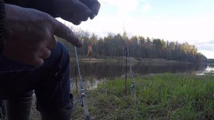 Вимба, по русски сырть или рыбец