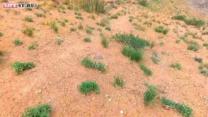 Путешествие по Горному Алтаю. Пеший поход на Марс Два. Часть 21.5