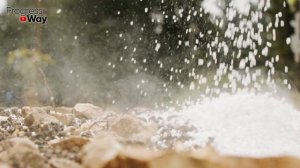 Самое Мощное И Бесплатное Средство От Мокрицы, Пырея И Одуванчиков!