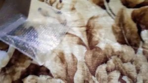 Стеклянная разделочная доска, коллекция "время праздника"