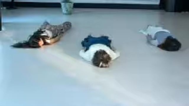 Безграничная медитация Стадия 3 пример выполнения смотреть онлайн