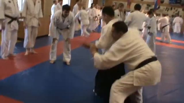 Yoshinkan Aikido Ryu. Андо сэнсэй, семинар в Сутэми смотреть онлайн