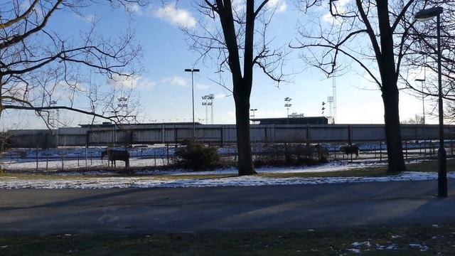 Sunday Test Panasonic Lumix FZ 300 смотреть онлайн