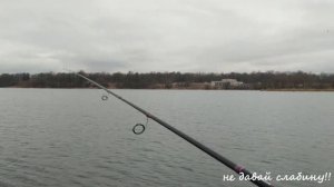 Дудергофское озеро рыбалка 2020! Плотва на спиннинг!