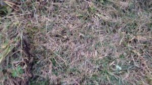 Minelab Equinox 600, одиночные частоты.