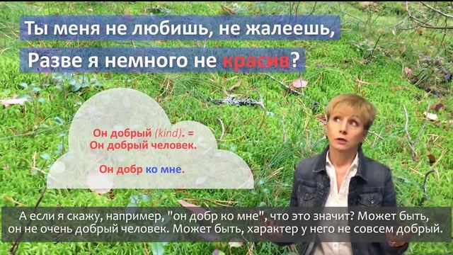 Intermediate Russian Grammar and Vocabulary through Poetry: Ты меня не любишь...(Ep.1) смотреть онлайн